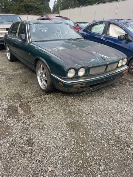 1995 Jaguar XJR
