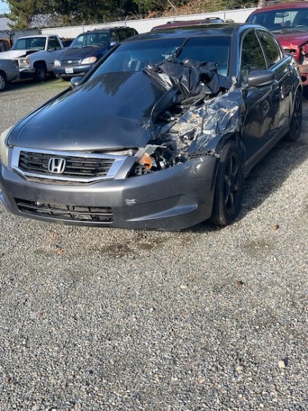 2010 Honda Accord